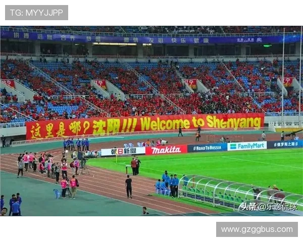 中超辽宁2017（中超辽宁籍球员）世界杯体育论坛