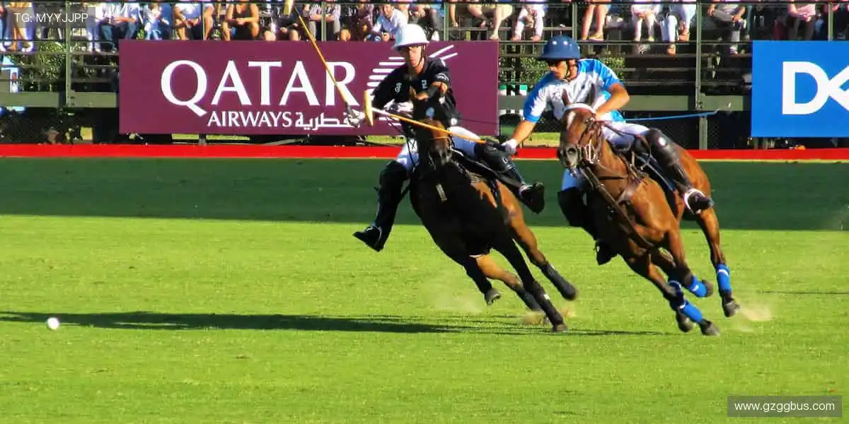 激情碰撞，瞬间点燃！⚽️🏀 锁定我们，见证每一个改写历史的时刻！